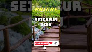 PRIERE  SEIGNEUR DIEU [upl. by Pomona]