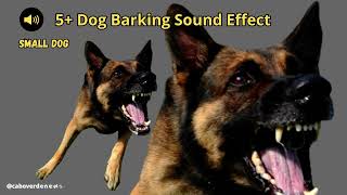 Dog Barking sound effect [upl. by Kumar]