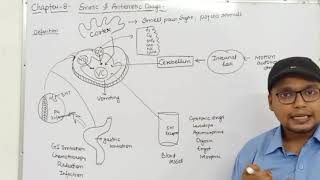 Emetics amp Antiemetics Drugs Physiology of Vomiting Classification  Ch8 Unit1 PharmacologyIII [upl. by Laup848]