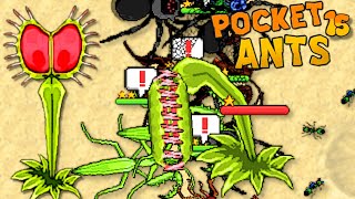 SÄ°NEK KAPAN BÄ°TKÄ°SÄ° NASIL ALINIR ve GÃœMÃœÅž RANK  Pocket Ants Colony Simulator TÃœRKÃ‡E  BÃ–LÃœM 15 [upl. by Cindie]