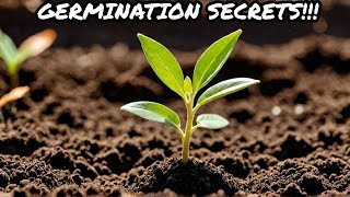 7 Tips for Successful Seed Germination [upl. by Robinet960]