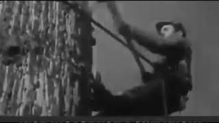 Lumberjacks In 1920’s Using An Axe Only [upl. by Jauch]