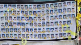 세월호의 단원고 희생자들 victims of Sewol ferry disaster [upl. by Boswell140]