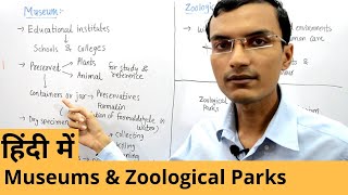 Taxonomical aids  Museums and Zoological Parks in Hindi  Class 11 [upl. by Atsilac131]