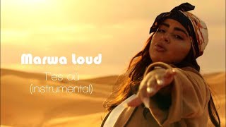 Marwa Loud  Tes Où Instrumental  Karaoke  lyrics [upl. by Mosira]