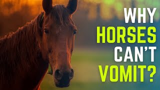 Why Horses Cant Vomit [upl. by Oznola]