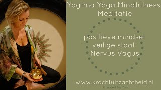 Meditatie positieve mindset veilige staat zenuwstelsel ventrale nervus vagus krachtuitzachtheid [upl. by Nyllaf738]