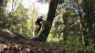 Gosford Forest MTB Trails [upl. by Renferd]