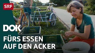 Faire und innovative Landwirtschaft – Konsumierende packen für ihr Essen mit an  Doku  SRF Dok [upl. by Sedgewick]