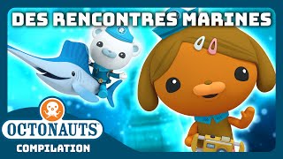 Octonauts  💦 Des rencontres marines ÉCLABOUSSANTES 🦑  Compilation  Dessins animés pour enfants [upl. by Brook775]