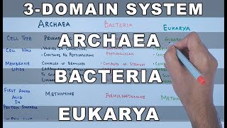 Archaea  Bacteria  Eukarya [upl. by Scheider809]