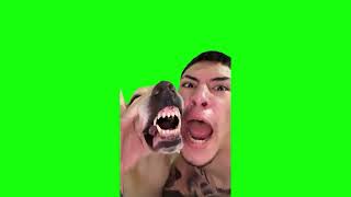 Dog is Beatboxing  Green Screen [upl. by Ailaht]