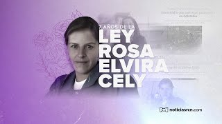 Rosa Elvira Cely y los feminicidios en Colombia diez años de una tragedia que se repite [upl. by Margaux]