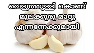 Piles engane mattam  Permanent home treatment for piles in malayalam  moolakkuru ottamooli tips [upl. by Stesha]