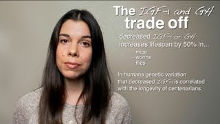 The IGF1 TradeOff Performance vs Longevity [upl. by Matuag]