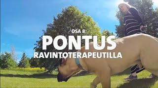 Evidensia Pentupäiväkirjat – Osa 8 Pontus ravintoterapeutilla [upl. by Maclaine964]