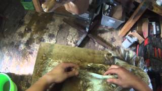 FLESHING WHITETAIL DEER CAPES ON DAKOTA FLESHING MACHINE [upl. by Ethelstan812]