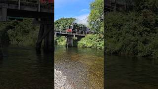 No7 Owain Glyndwr crossing the Rheidol shortsvideo valeofrheidolrailway [upl. by Onilegna911]