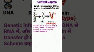 Central Dogma of Molecular Biology  Transcription and Translation centraldogma molecularbiology [upl. by Ayanad]