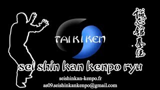 Taikiken presentation [upl. by Barrow]