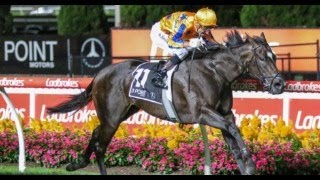 G1 Moir Stakes Day Tips Livestream 070924 Sky High Horse Racing [upl. by Allsopp]