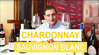 Chardonnay Vs Sauvignon Blanc Comparing the 2 Most Popular Types of White Wine [upl. by Mariejeanne270]