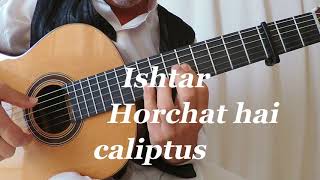 Ishtar  Horchat hai caliptus  fingerstyle guitar cover by Manol Raychev [upl. by Uy469]