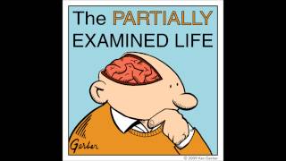 Partially Examined Life podcast  Quine  Two Dogmas of Empiricism [upl. by Elene]