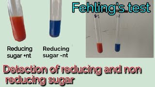 Fehlings test  Princple  Procedure  Uses  Detection of reducing and non reducing sugar  Hindi [upl. by Aleunam]