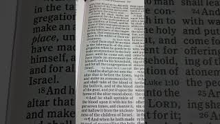 Bible Reading Leviticus Chapter 16 Verse 1719 [upl. by Bolton]