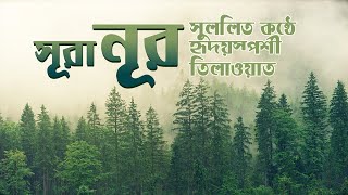 24 সুরা নূর النور‎  সুমধুর বাংলা অনুবাদ সহ  Quran Tilawat  Quran Bangla  Bangla Quran  Tilawat [upl. by Nolitta697]