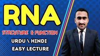 Introduction to RNA  RNA Structure Functions  A Type of Nucleic Acid  Shahzad Rasool Lecture [upl. by Enivid]