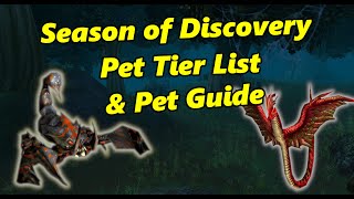 OUTDATED SoD Hunter  Pet Tier List and Guide [upl. by Relyc]