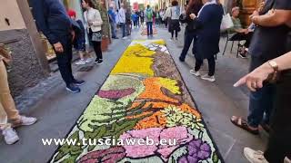 Corpus domini  Linfiorata di Bolsena [upl. by Eciram]