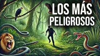 ¡Los 6 animales más PELIGROSOS del MUNDO [upl. by Leirej379]