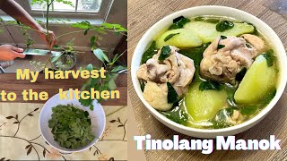 Tinolang Manok  Ilonggo Style  Iloilos kitchen [upl. by Aihsekram92]