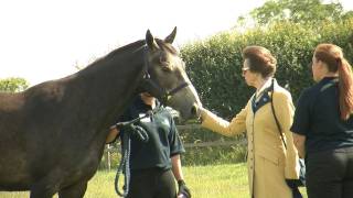 HRH The Princess Royal launches Rehome a Horse month [upl. by Moitoso]