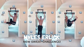 Myles Erlick  New Challenge Shorts [upl. by Aleirbag]