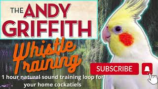 Andy Griffith Theme Whistle training for your pet birds  1 hour training loop [upl. by Ahsienar798]