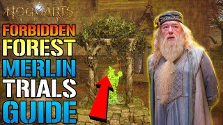 Hogwarts Legacy Merlin Trials All quotForbidden Forestquot Area GUIDE How To Solve Them TODAY Guide [upl. by Critta]