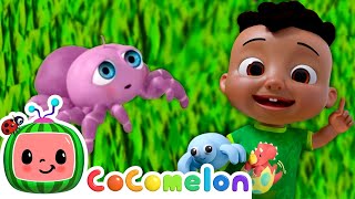 Itsy Bitsy Anansi the Spider Song  Cody amp JJ Its Play Time CoComelon Kids Songs [upl. by Oza]