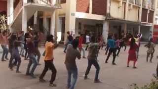 Icc T20 World Cup 2014 flash mob govt Shahid Sohrawardi College [upl. by Michell]