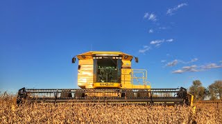 Finally We Start Combining Soybeans And End Up With A Breakdown At The End Of The Day [upl. by Gregg39]