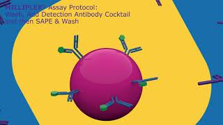 MILLIPLEX® Multiplex Assays [upl. by Jenkel]