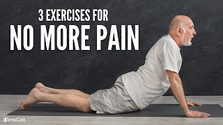 The 3 Best Back Exercises For NO MORE PAIN [upl. by Minne]