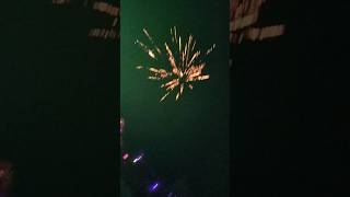 Fireworks shortvideo sky shot video viral [upl. by Atikin]