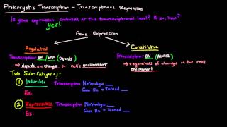 Prokaryotic Transcription Part 1 of 5  Transcriptional Regulation [upl. by Kenrick528]