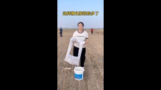 Its much easier to spread fertilizer this way fyp funny comedy [upl. by Rialcnis671]