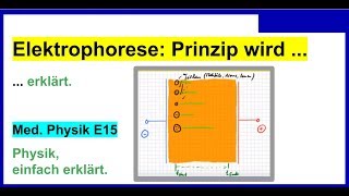 Elektrophorese einfach erklärt auch für Medizinische Physik E15 [upl. by Wier590]