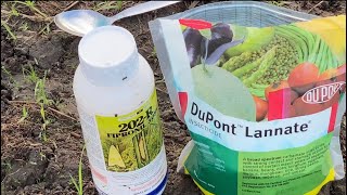 FARM LIFE Applying Insecticide 202R amp Lannate [upl. by Strepphon]